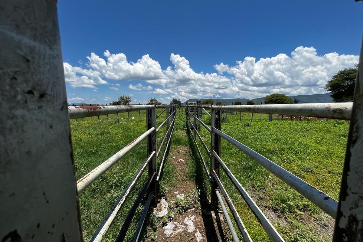 Hashtag Home proudly introduces this plot in an exclusive agricultural development just outside Otavi — a region well-known for its exceptional farming potentia - Photo 4