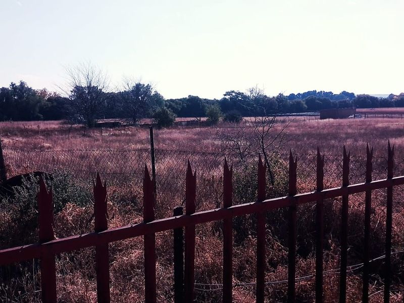 10.7 HEKT FARM,IDEAL FOR VEGETABLES TUNNELS.EGGS.PIGS,SHEEP TO ESTABLISH A GOOD INCOME - Photo 9