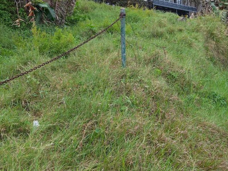 Investor Dream Land - Photo 9