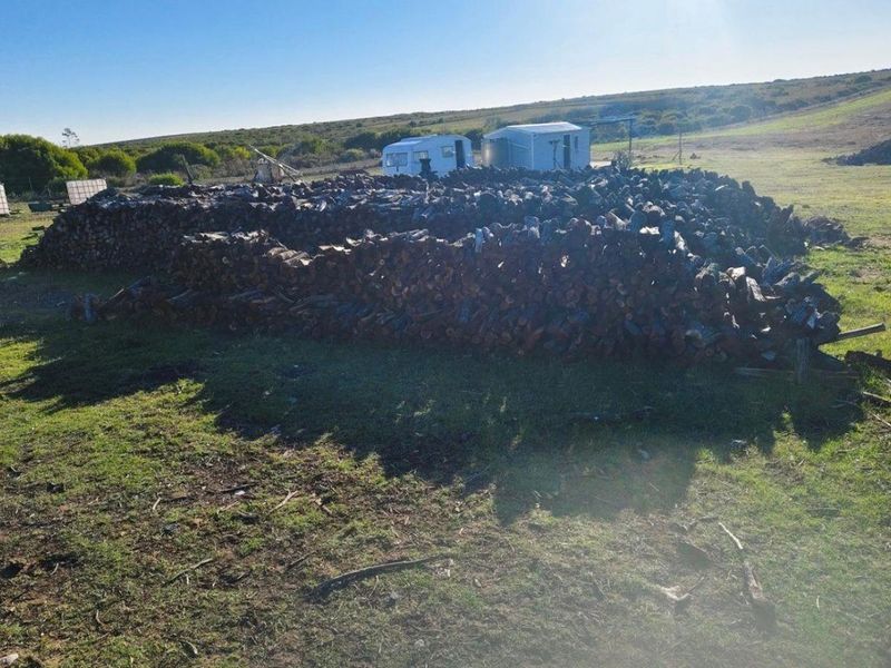 EXCEPTIONAL BEAUTIFUL VERSITILE FARM TO DEVELOP. TOURIST ATTRACTION - Photo 5