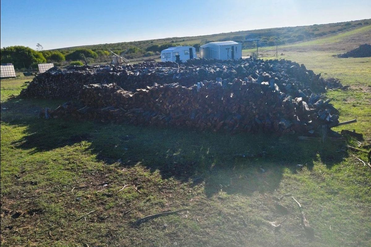 EXCEPTIONAL BEAUTIFUL VERSITILE FARM TO DEVELOP. TOURIST ATTRACTION - Photo 5