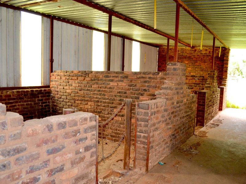 ***7ha Bushveld Property with Equestrian Facilities & Multiple Income Possibilities – Kameeldrift West | Under R3m*** - Photo 4