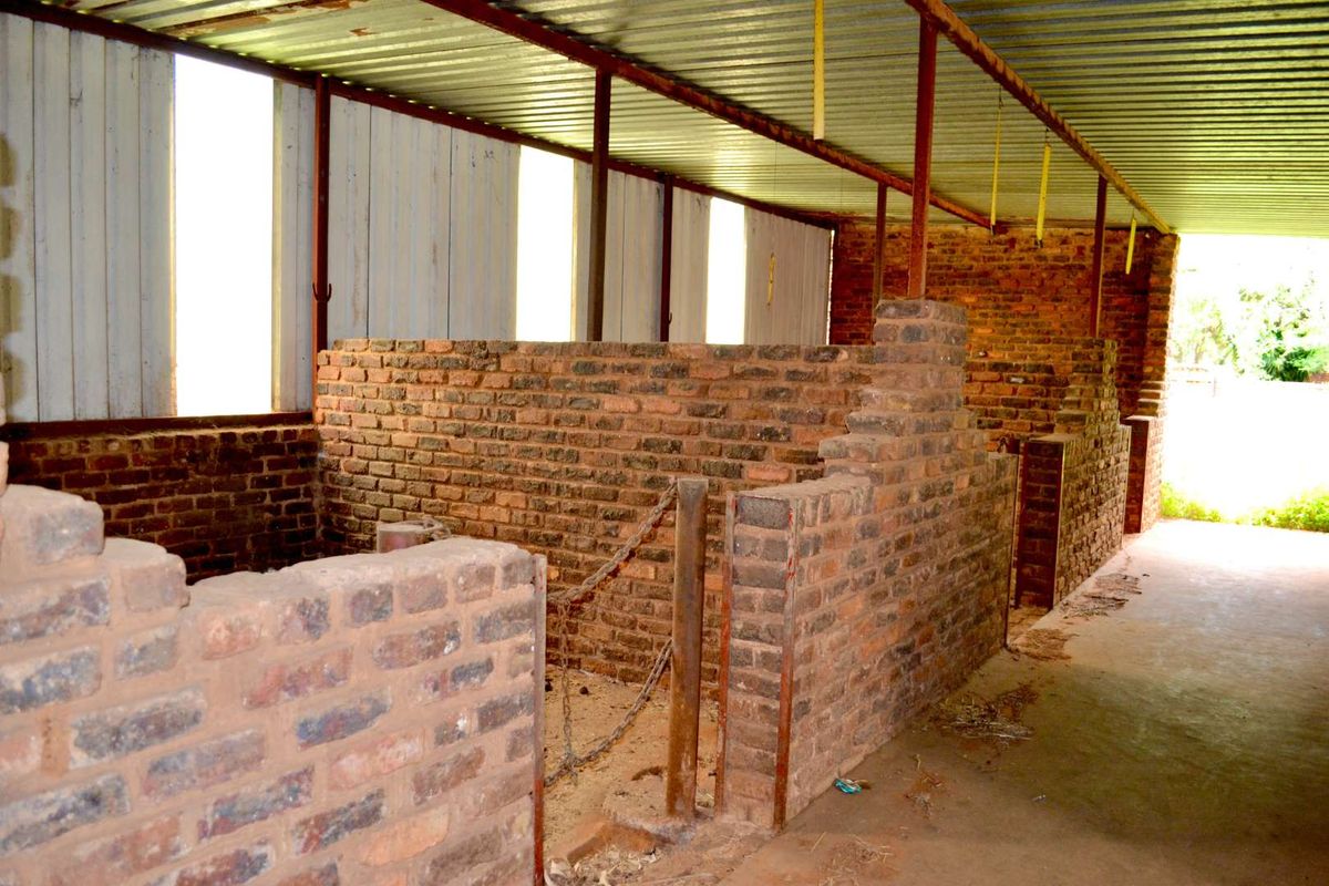 ***7ha Bushveld Property with Equestrian Facilities & Multiple Income Possibilities – Kameeldrift West | Under R3m*** - Photo 4