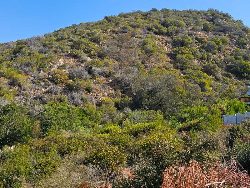 Duet Opportunity Vacant plot for a steal! - Photo 2