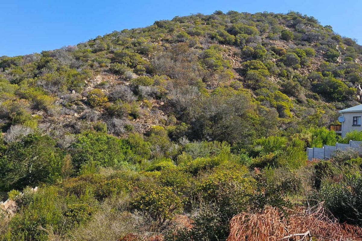 Duet Opportunity Vacant plot for a steal! - Photo 2