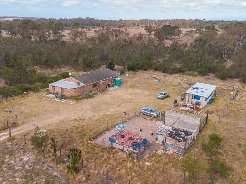 Prime 9 Hectare Smallholding | Agricultural Zoning | Port Elizabeth - Photo 5