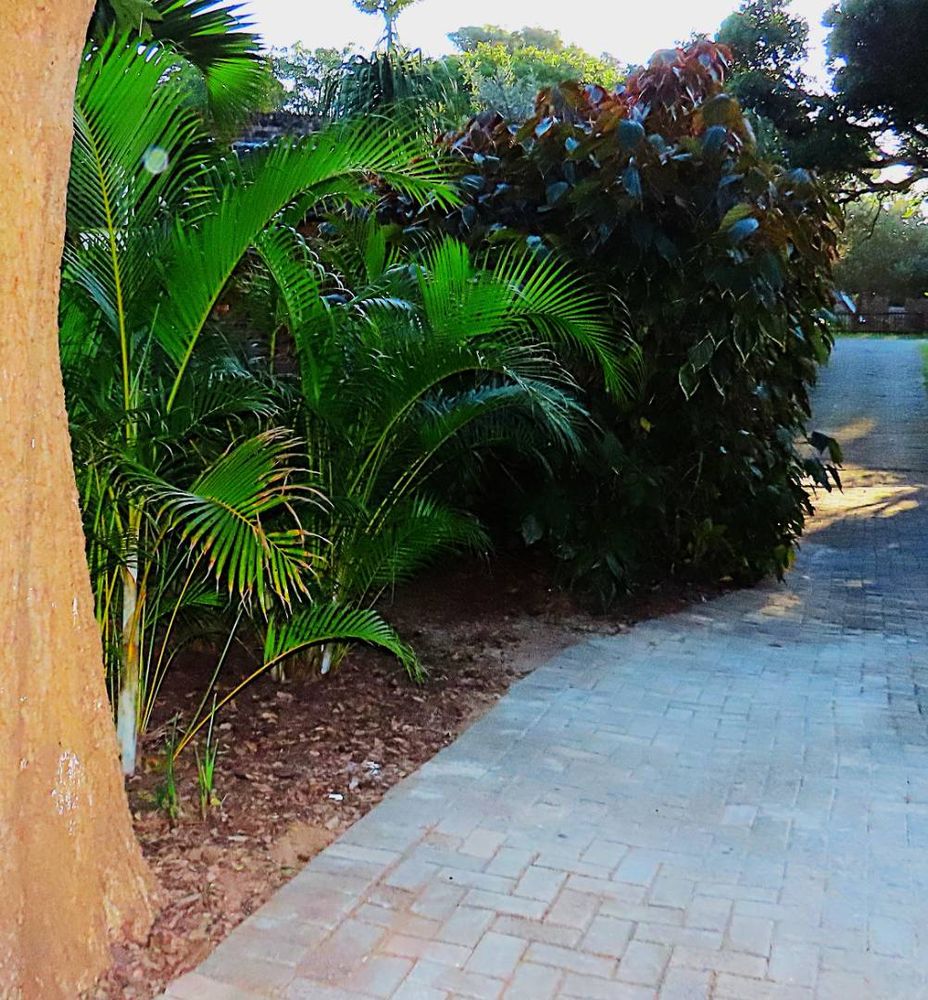 Pan handle stand with a spaciouse driveway and secure entrancel.