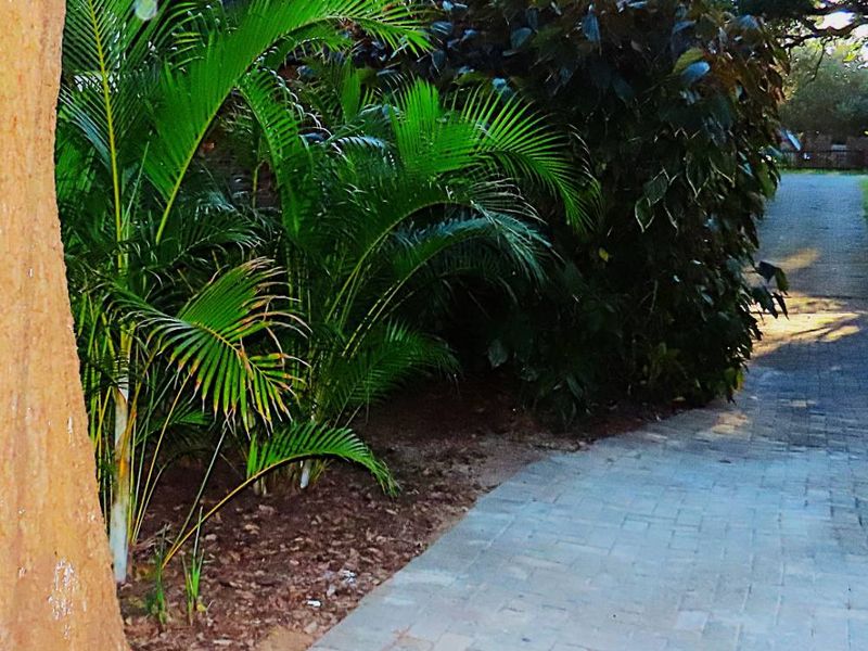 Tranquil Haven in the Heart of St Lucia - Photo 3