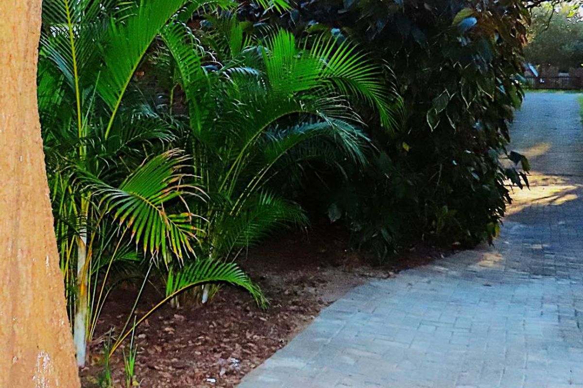 Tranquil Haven in the Heart of St Lucia - Photo 3