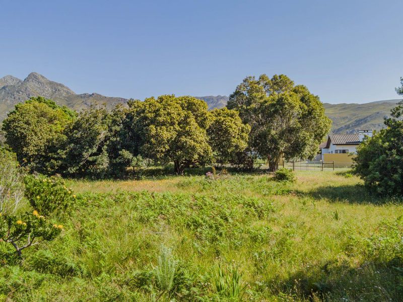 Mountain Avenue 977 sqm Vacant Stand in Kleinmond - Photo 8