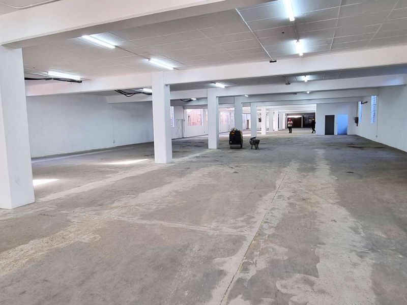 Expansive industrial utility space featuring concrete flooring, structural columns, and high-mounted fluorescent lighting, suitable for warehouse or manufacturing operations.
