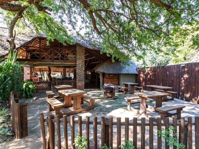 Your gateway to Africa's untamed beauty and endless possibilities. - Photo 9