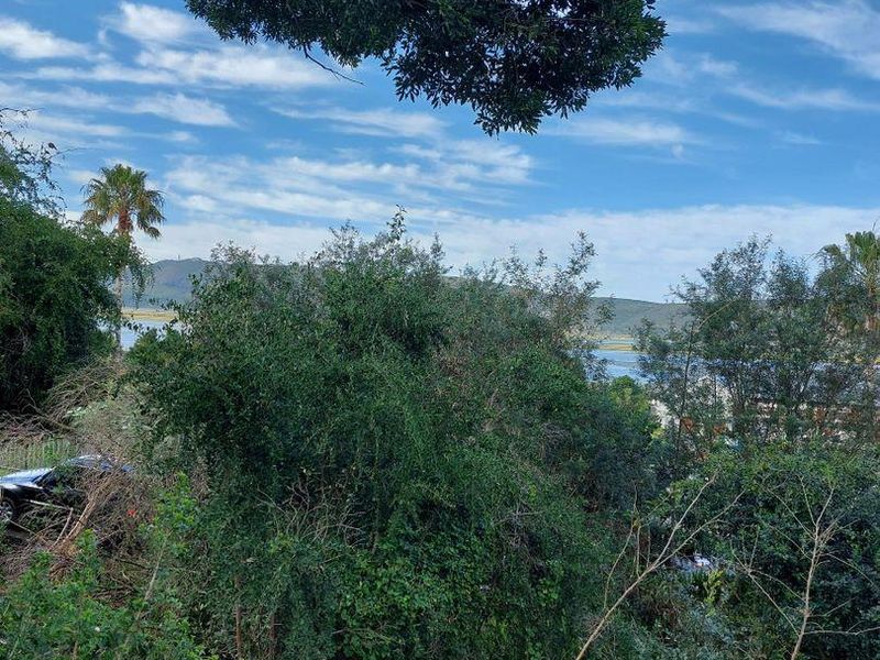 Vacant Land in Paradise - Photo 4