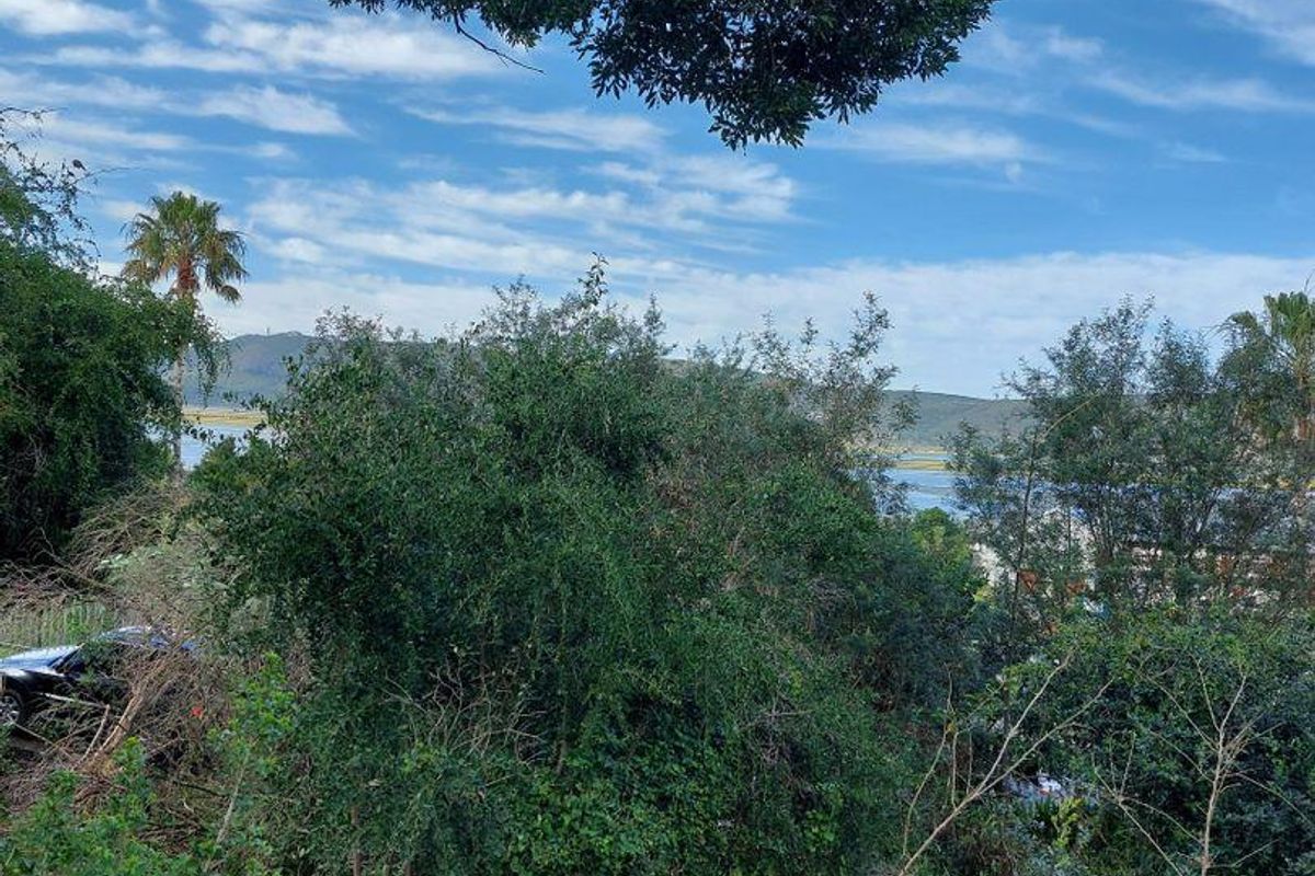 Vacant Land in Paradise - Photo 4