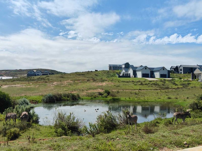 Large family home in Wildlife Estate - Photo 7