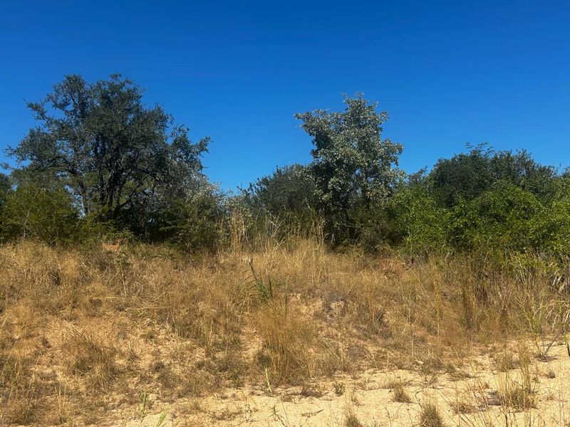 Prime vacant River Stand in Moditlo Nature Reserve - Photo 7