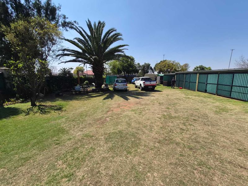 A spacious backyard garden featuring a large mature palm tree and a row of metal storage units along the perimeter.
