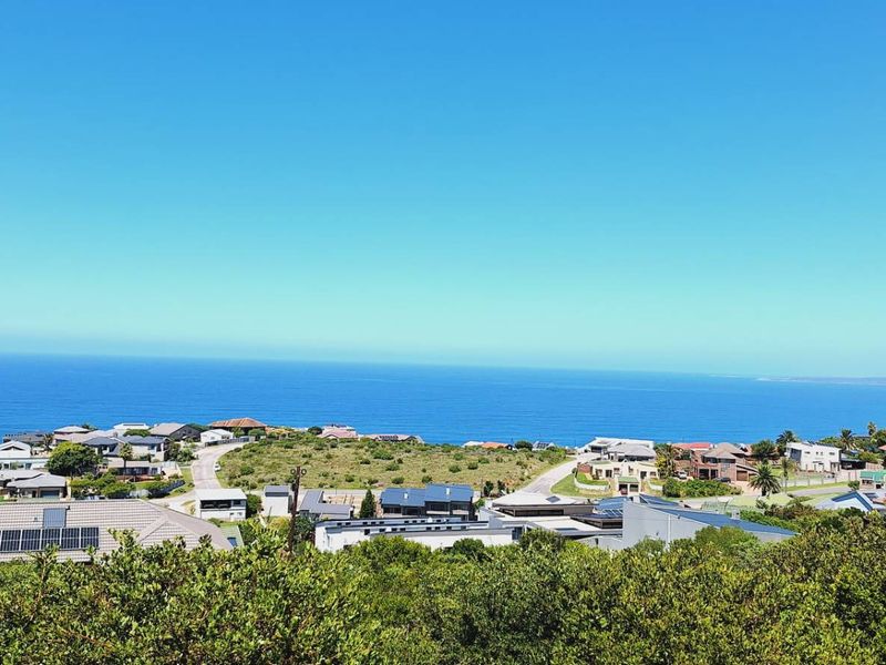 A panoramic elevated view overlooking the coastal residential estate and the ocean horizon.