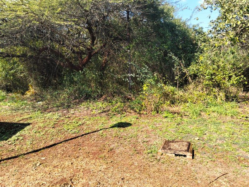 Vacant land for sale Malelane - Photo 7