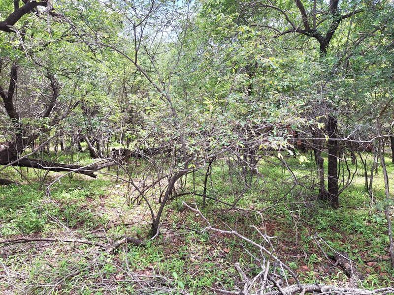 Embrace Tranquility - Prime Stand - Photo 3