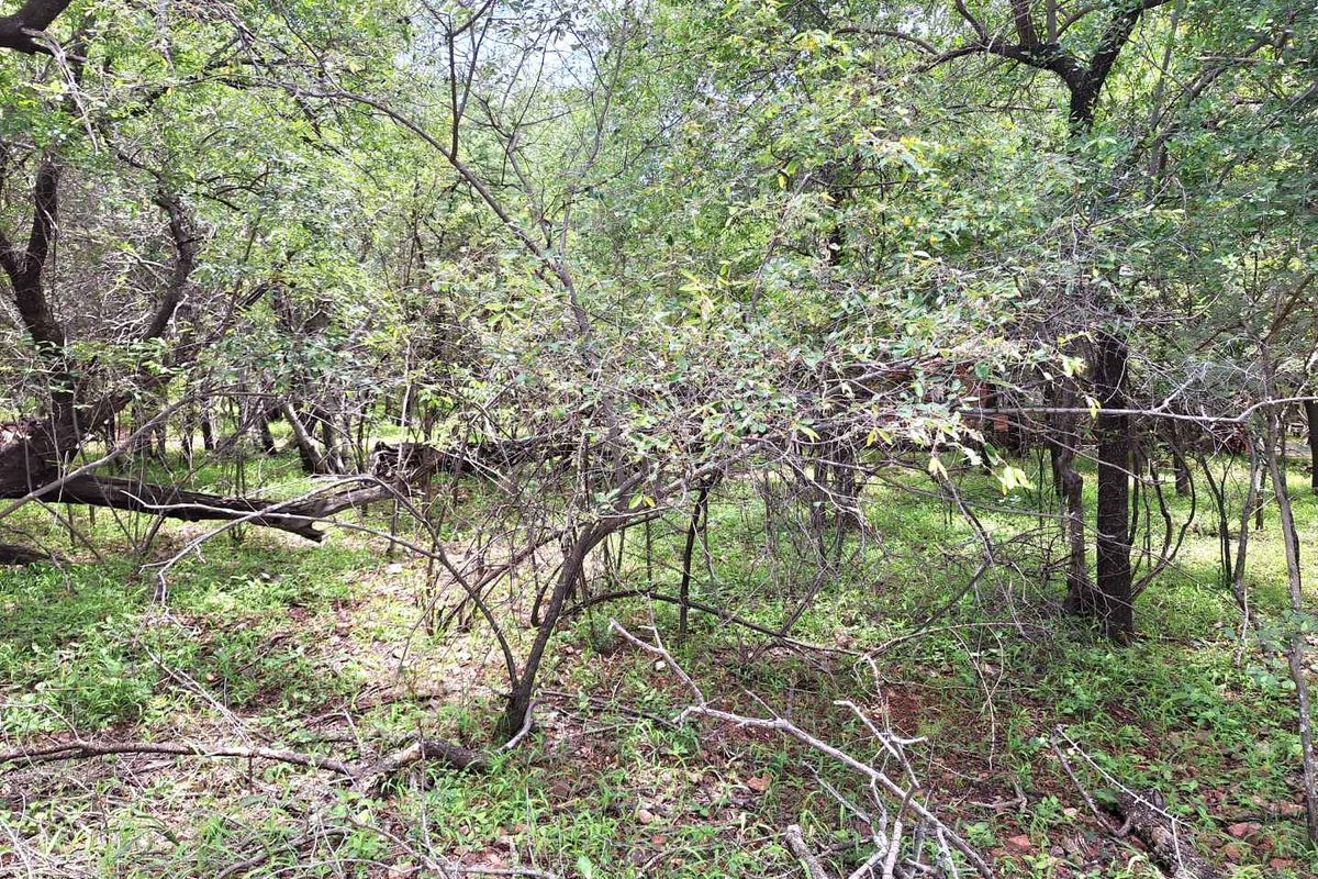 Embrace Tranquility - Prime Stand - Photo 3