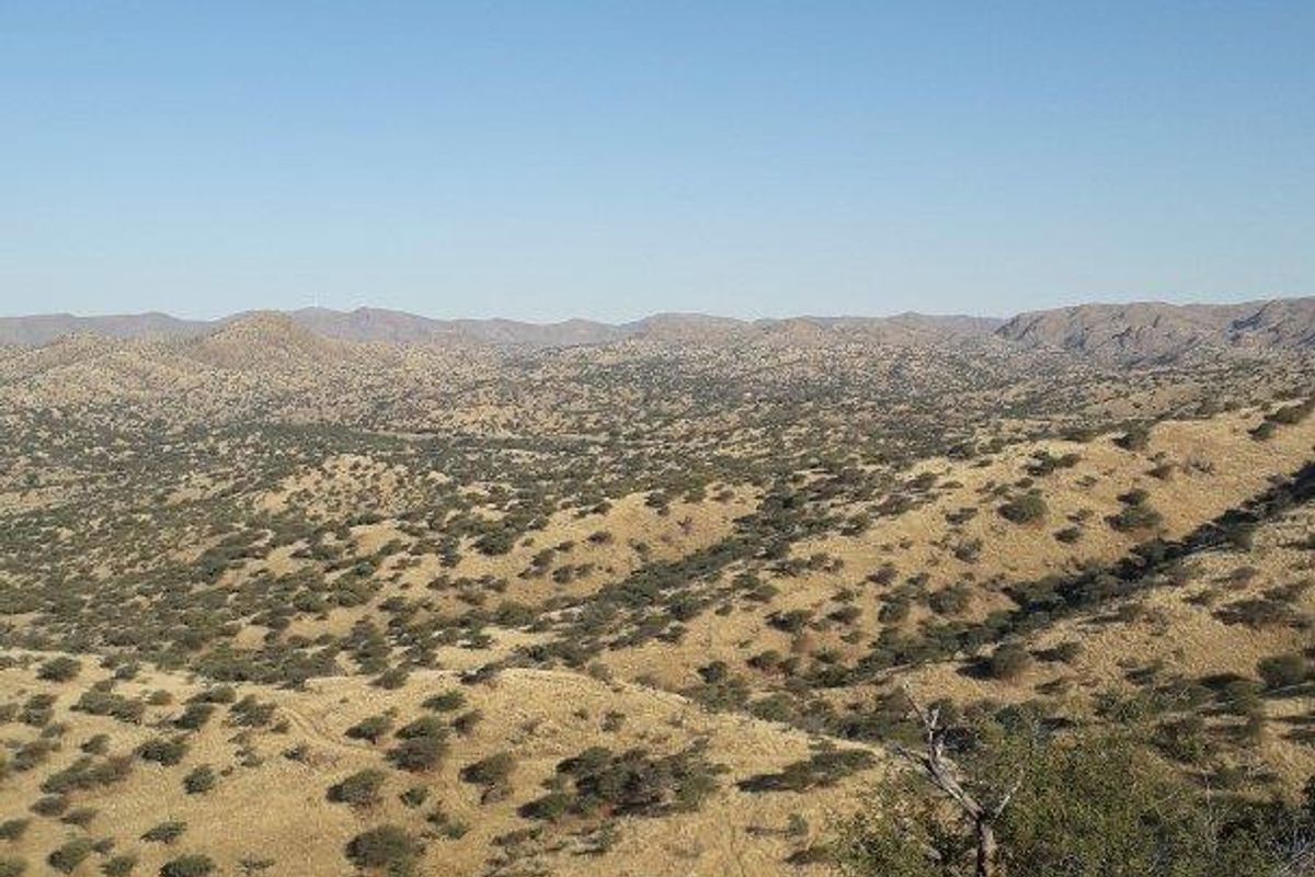 Development Stands Portions for Sale - Daan Viljoen area - Photo 4