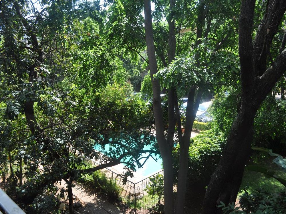 swimming pool view from apartment