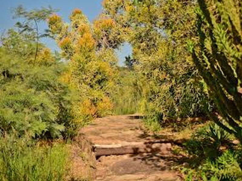 fOR SALE: EXCEPTIONAL MULTI-USE ESTATE SMALL HOLDING, GUEST & CAMPSITE FACILITIES, WINDHOEK, NAMIBIA - Photo 3