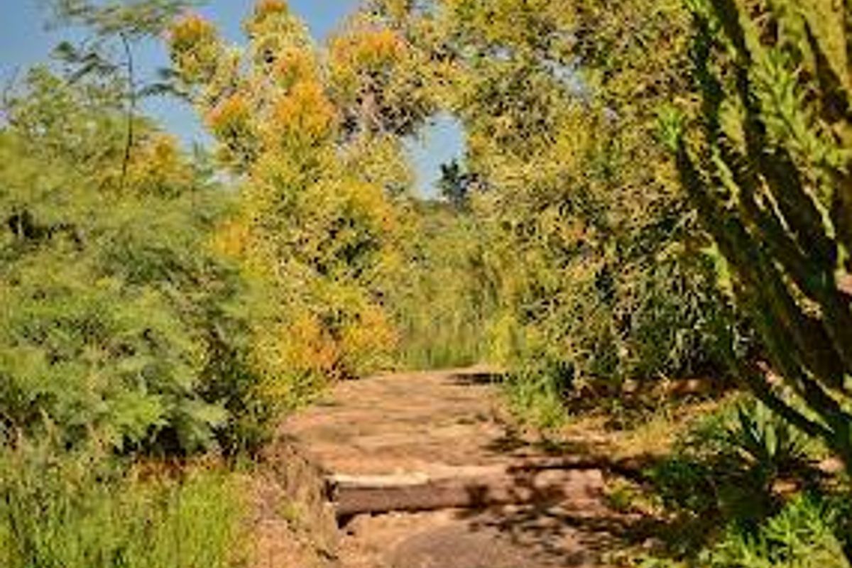 fOR SALE: EXCEPTIONAL MULTI-USE ESTATE SMALL HOLDING, GUEST & CAMPSITE FACILITIES, WINDHOEK, NAMIBIA - Photo 3