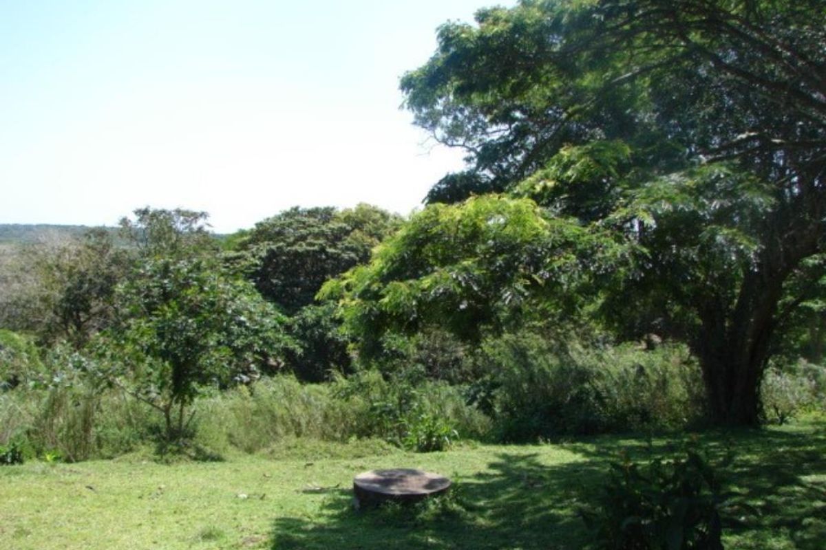 Vacant Land in ST LUCIA - Photo 5