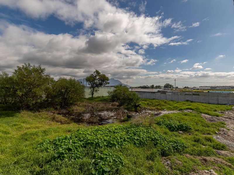 Endless Potential: Prime Vacant Land for Sale - Photo 3