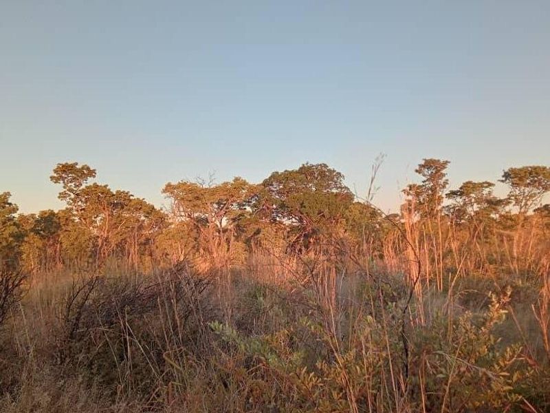 Unlock the Wild – Live the Farm Life! - Photo 5