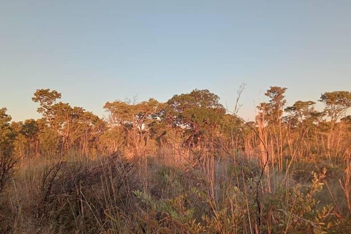 Unlock the Wild – Live the Farm Life! - Photo 5