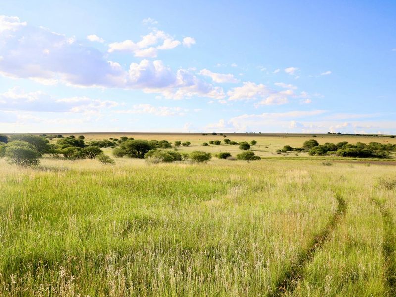 Exceptional Farming Opportunity — 312.0183 ha Grazing Farm with a 4 Bedroom Home, 4 Dams and 8  Boreholes Off the Grid with Solar - Photo 3