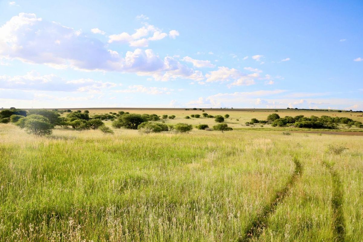 Exceptional Farming Opportunity — 312.0183 ha Grazing Farm with a 4 Bedroom Home, 4 Dams and 8  Boreholes Off the Grid with Solar - Photo 3