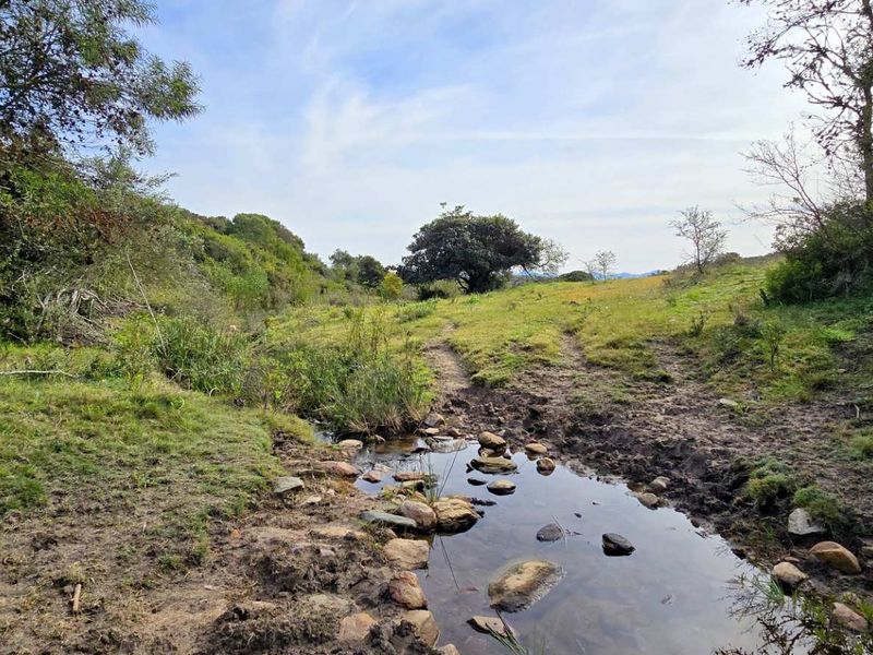 Prime 262ha Agricultural Farm for Sale Near Hartenbos - Photo 9