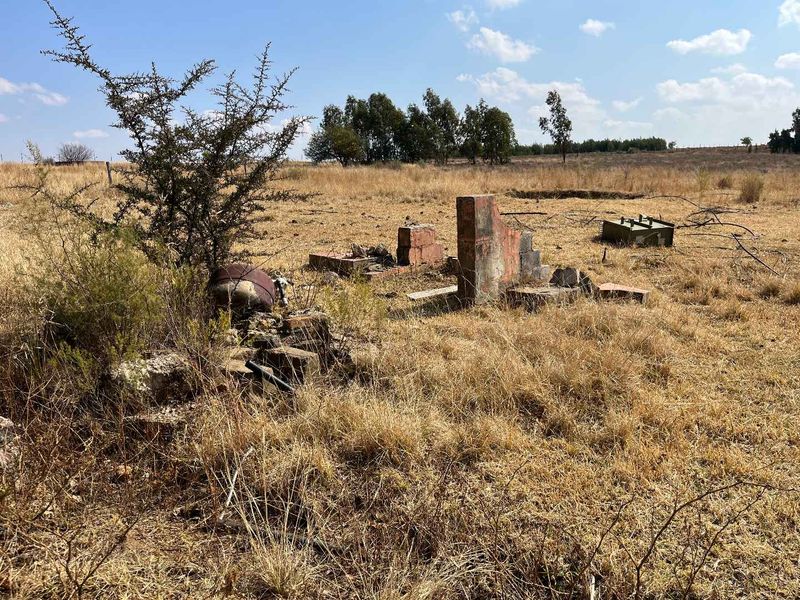 Huge Land with lots of potential - Photo 9