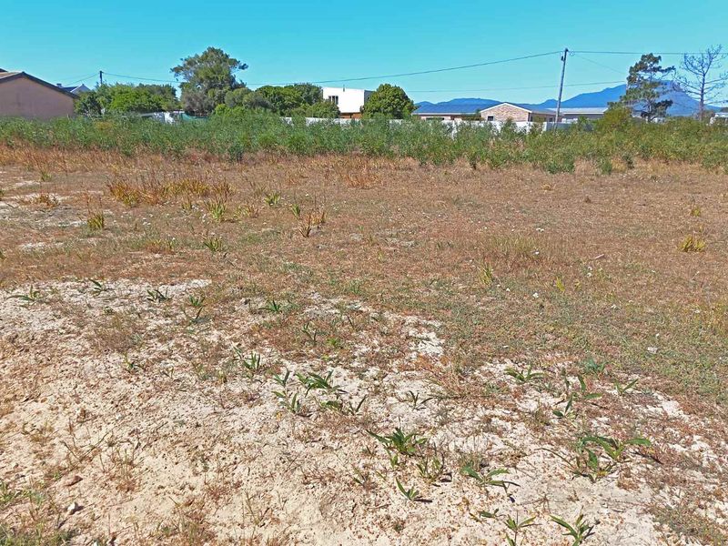 Great Property -Going for a Song - Photo 10