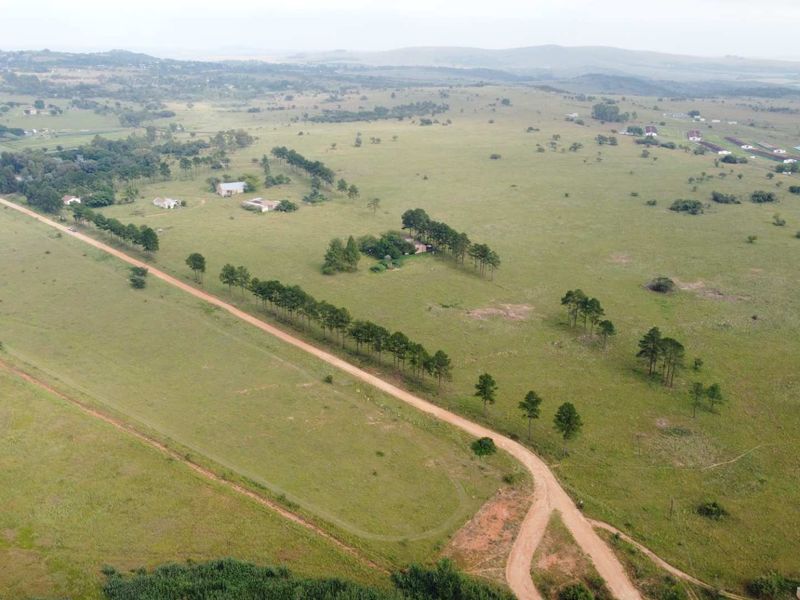 This Beautiful Stand/Farm is situated in the Heart of The Cradle of Humankind. - Photo 7