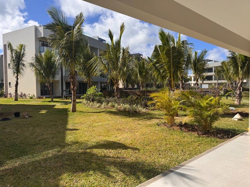 A well-maintained communal garden area featuring lush palm trees, manicured lawn, and stone landscaping, viewed from a covered patio.