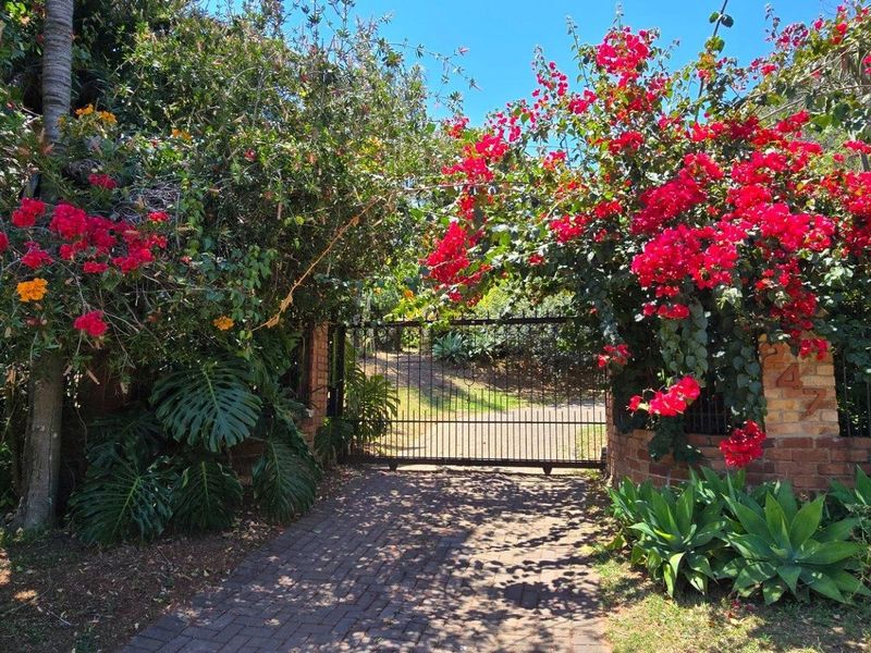 Orion's Belt - At Home Among the Stars - Photo 2