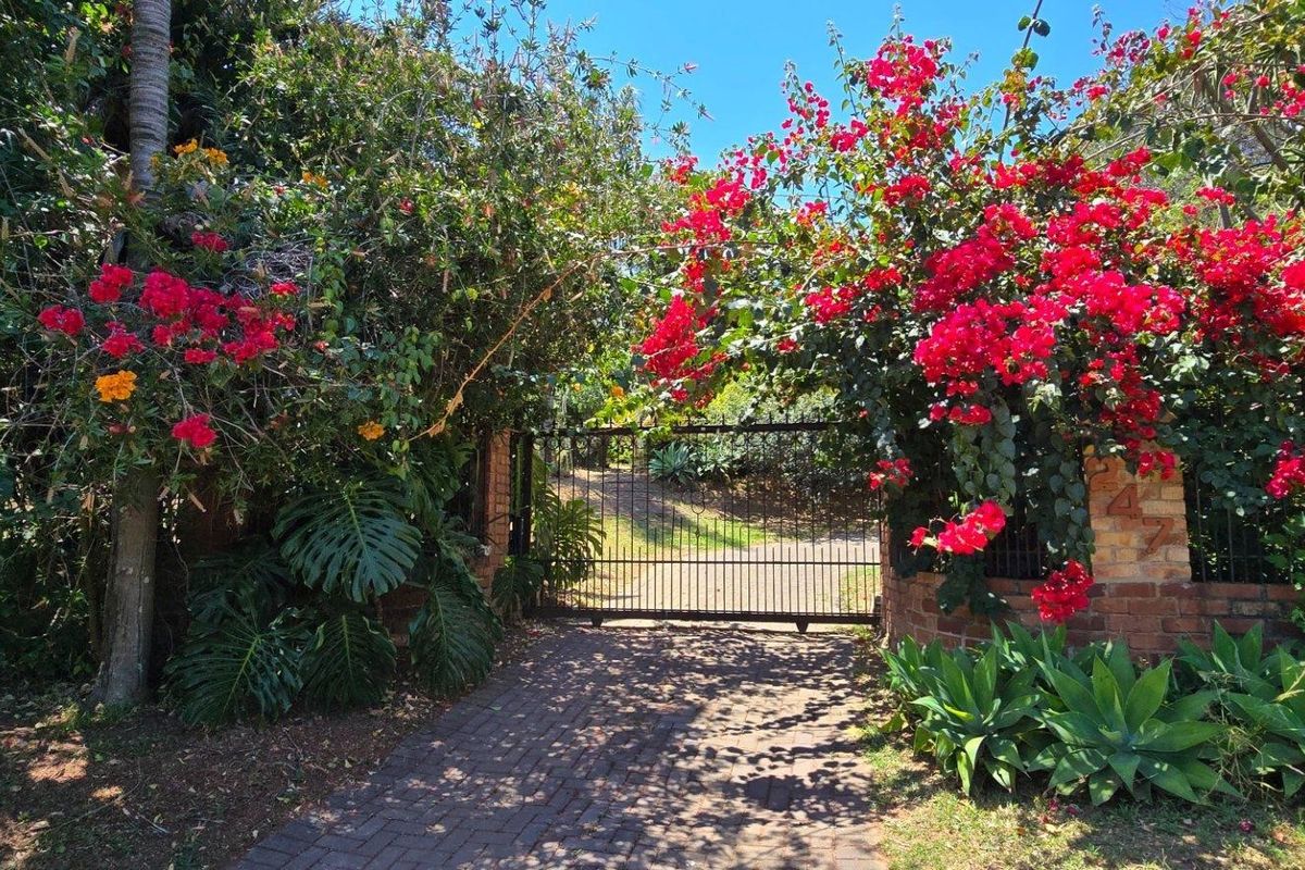 Orion's Belt - At Home Among the Stars - Photo 2
