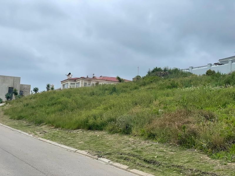 A view of a vacant, sloped residential plot from the adjacent paved street, showing natural vegetation and surrounding neighborhood context.
