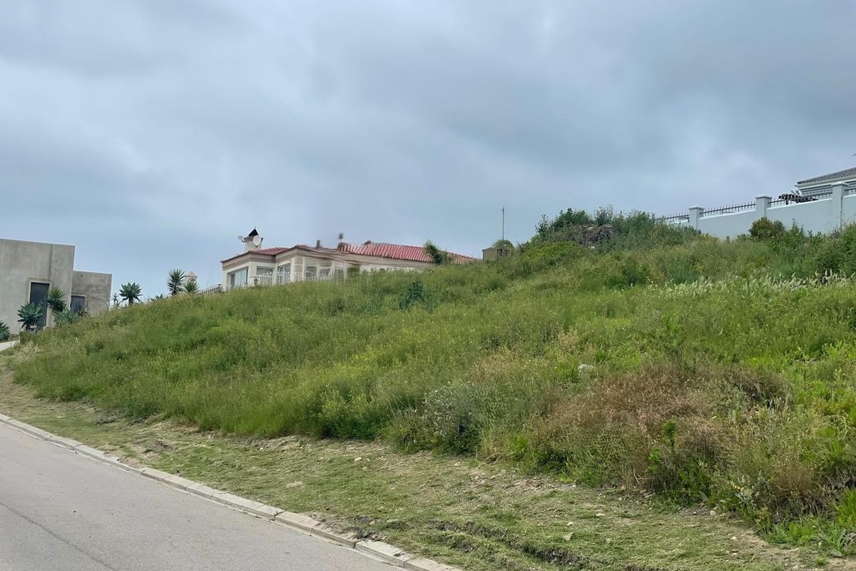 A view of a vacant, sloped residential plot from the adjacent paved street, showing natural vegetation and surrounding neighborhood context.