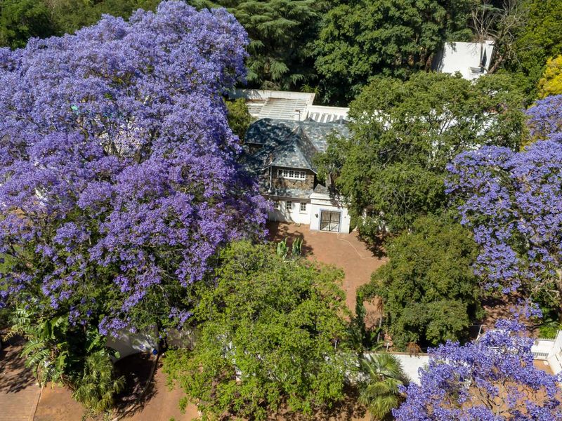 CALLING ALL DEVELOPERS - PRIME PIECE OF LAND IN THE HEART OF MELROSE - Photo 9