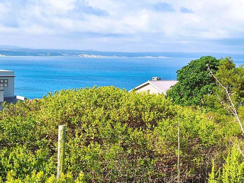 738m2 Vacant Land For Sale in Vleesbaai - Photo 3