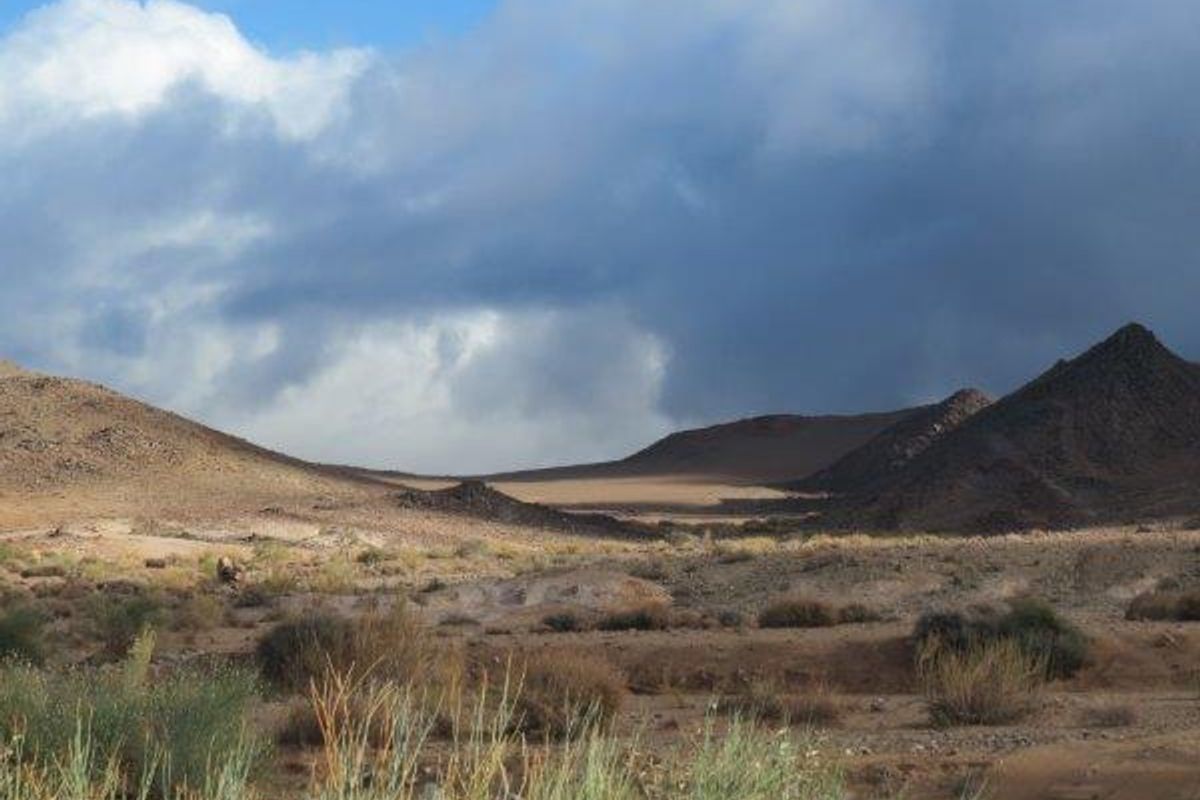 Farm For Sale - Karasburg Region - Photo 2