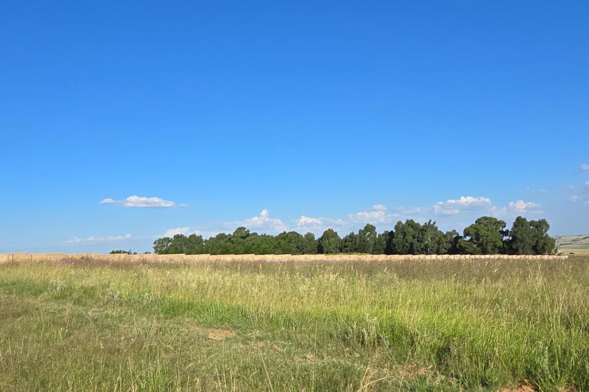A wide-angle view of a vacant residential plot featuring natural grass, mature trees, and a boundary wall under a clear blue sky.