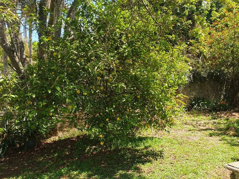 Vacant land for sale on vryheid hill - Photo 2