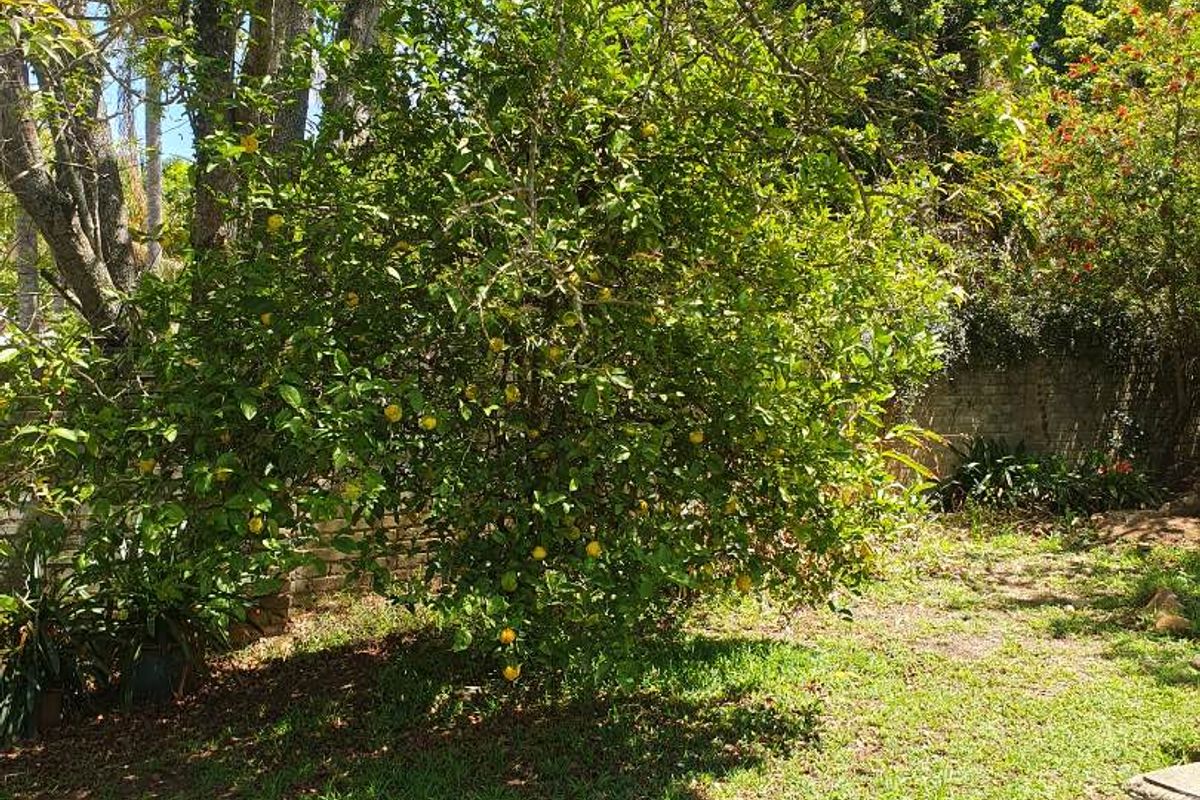 Vacant land for sale on vryheid hill - Photo 2